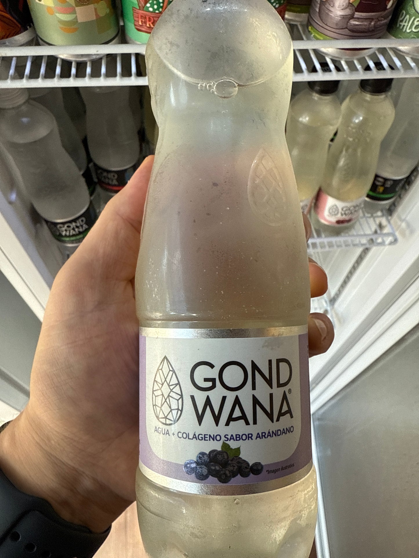 Agua con Colageno Sabor Arandano