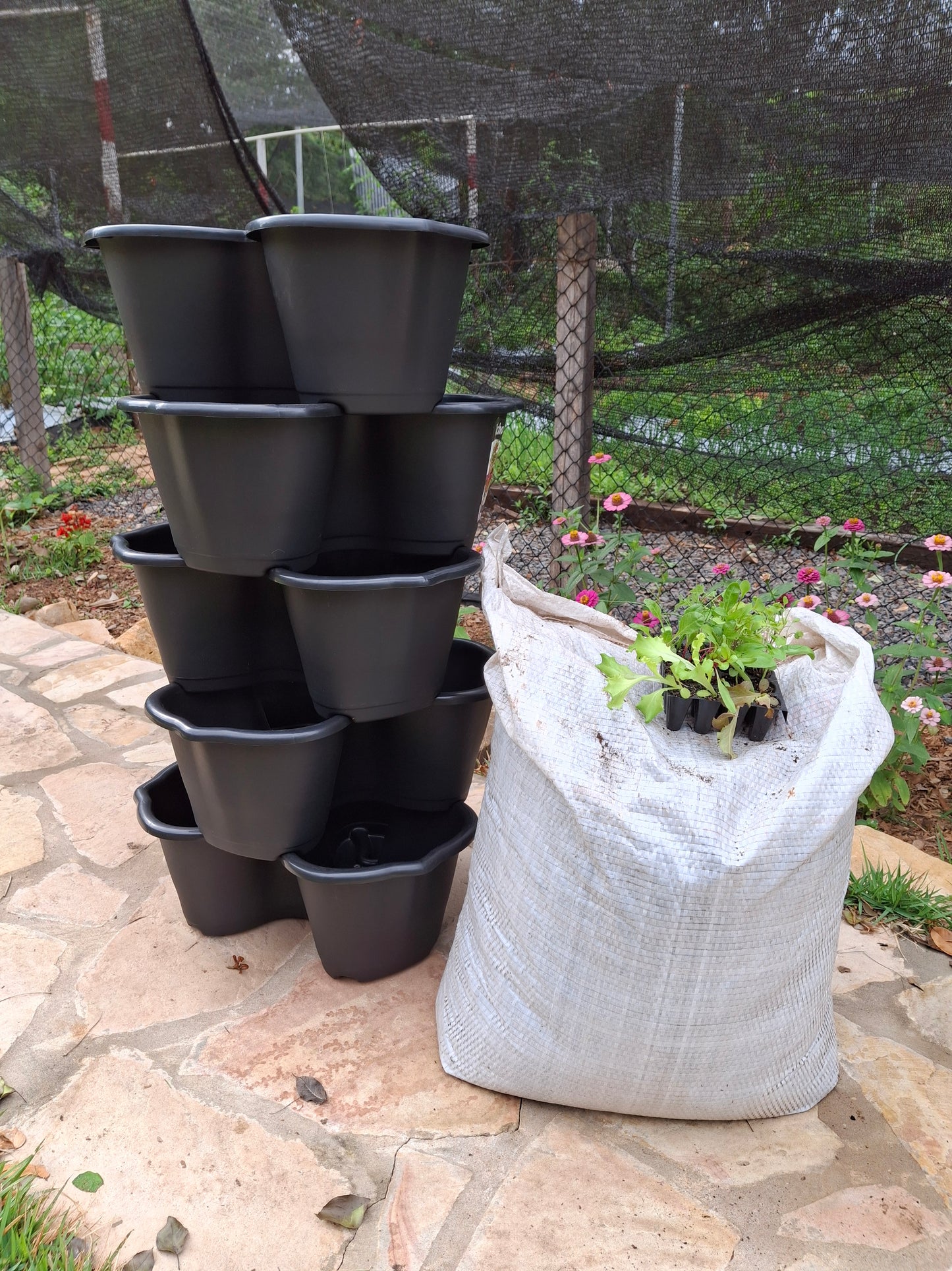 Combo Macetas Apilables + Plantínes + Sustrato