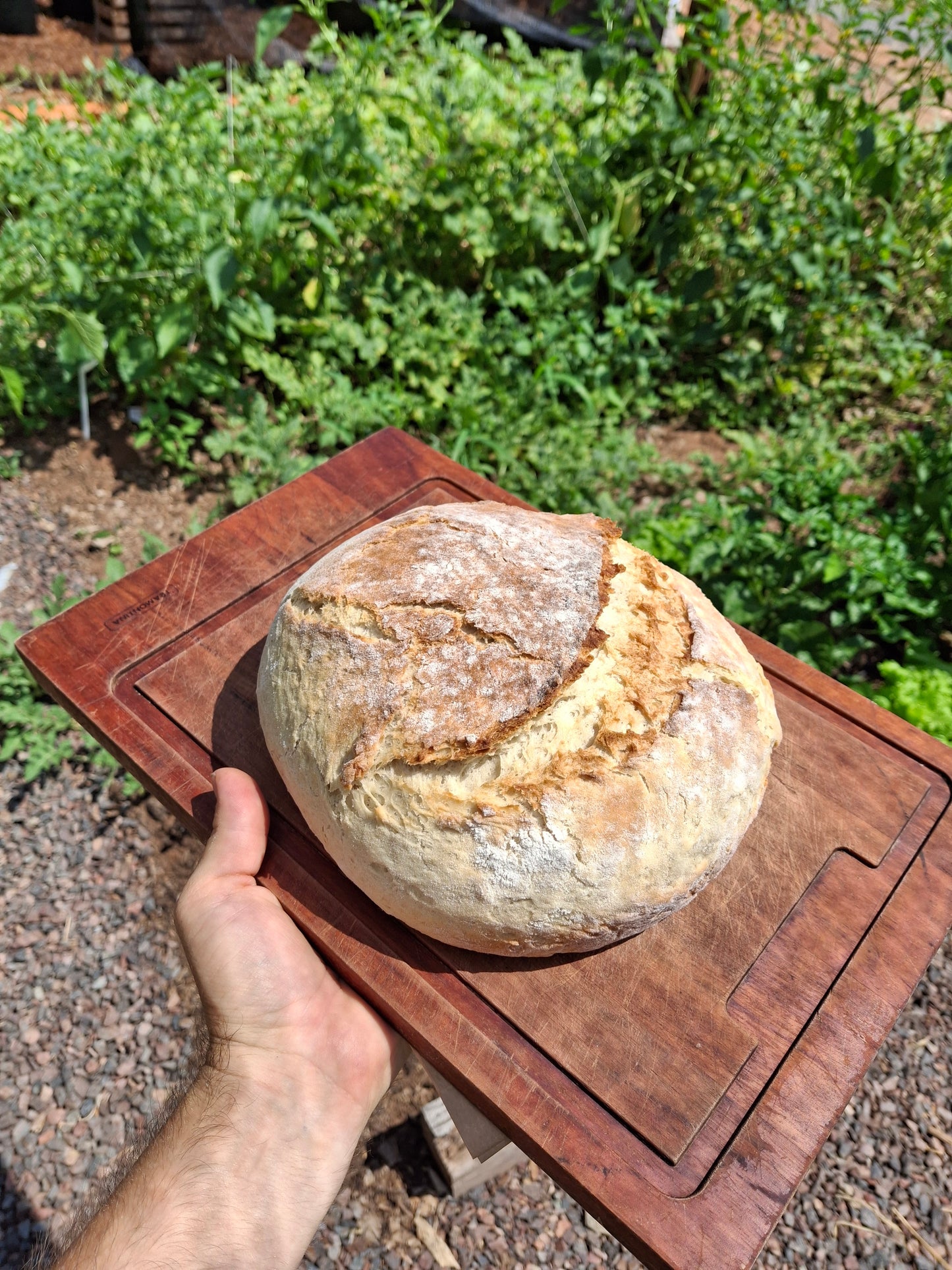 Pan de Campo