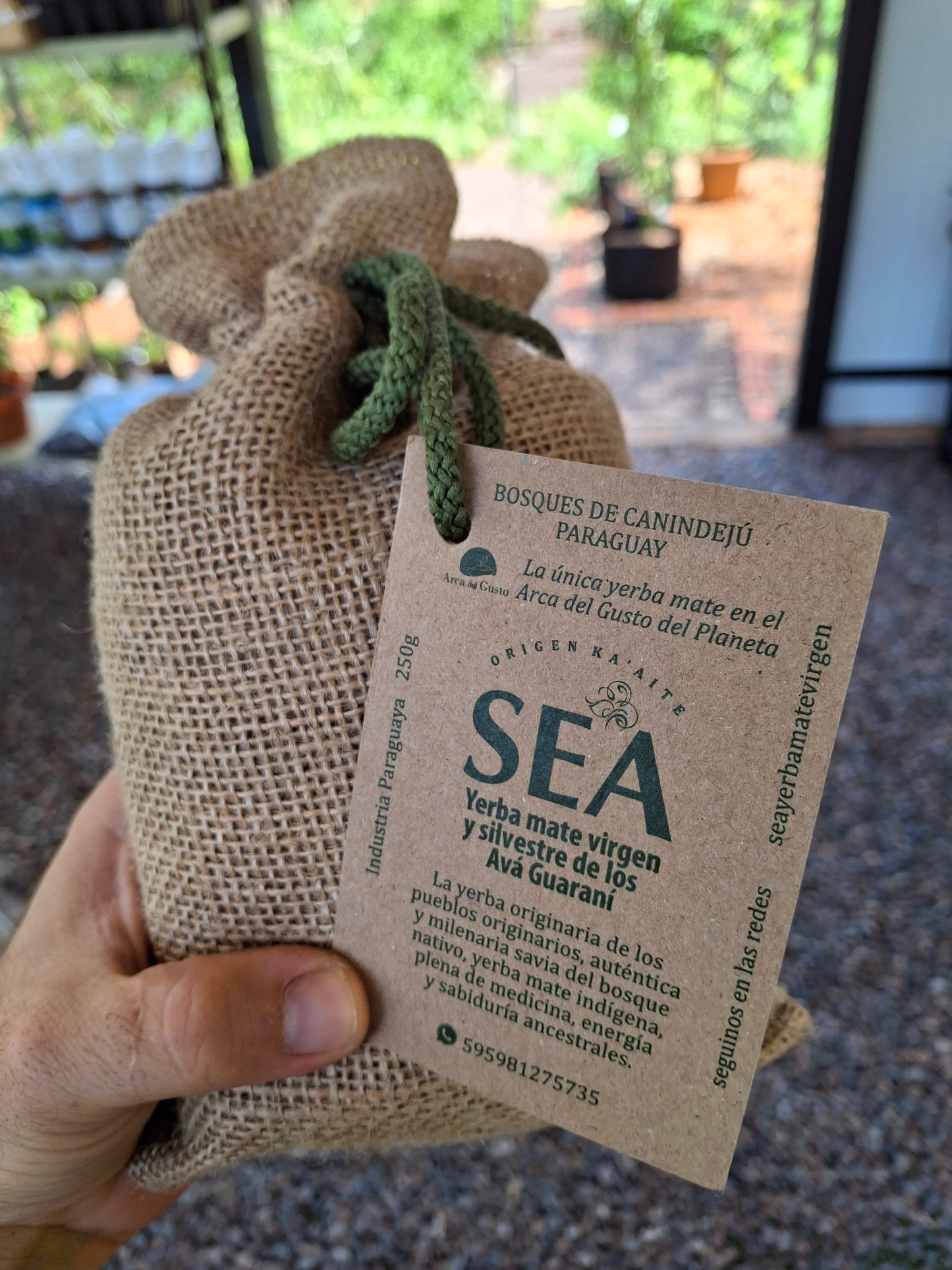 Yerba Mate SEA