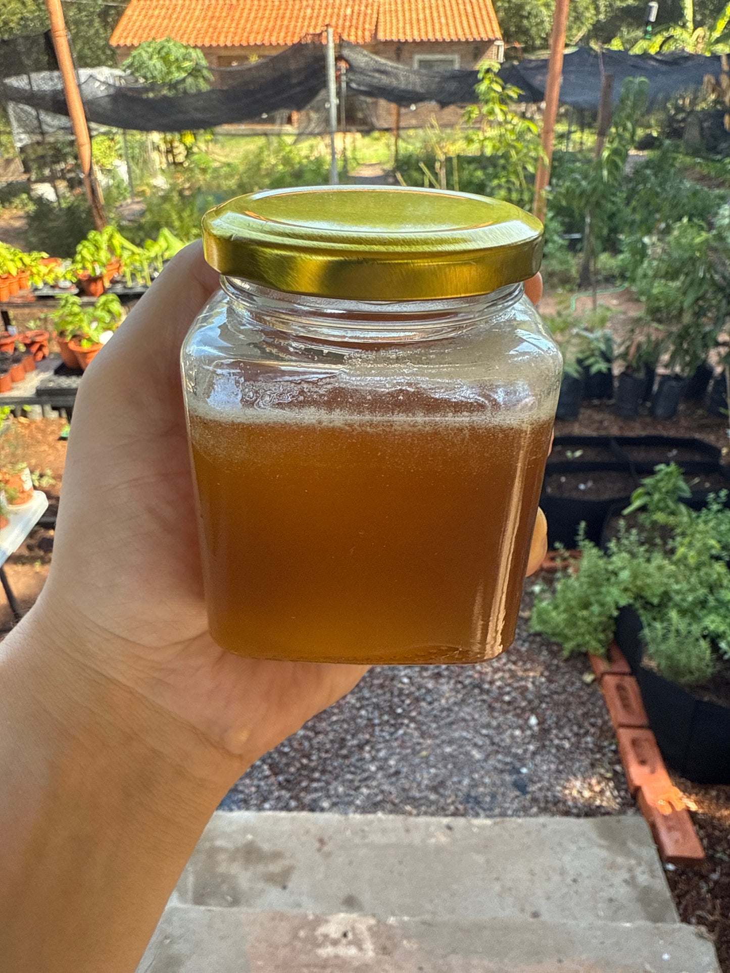 Miel de Abeja del Chaco