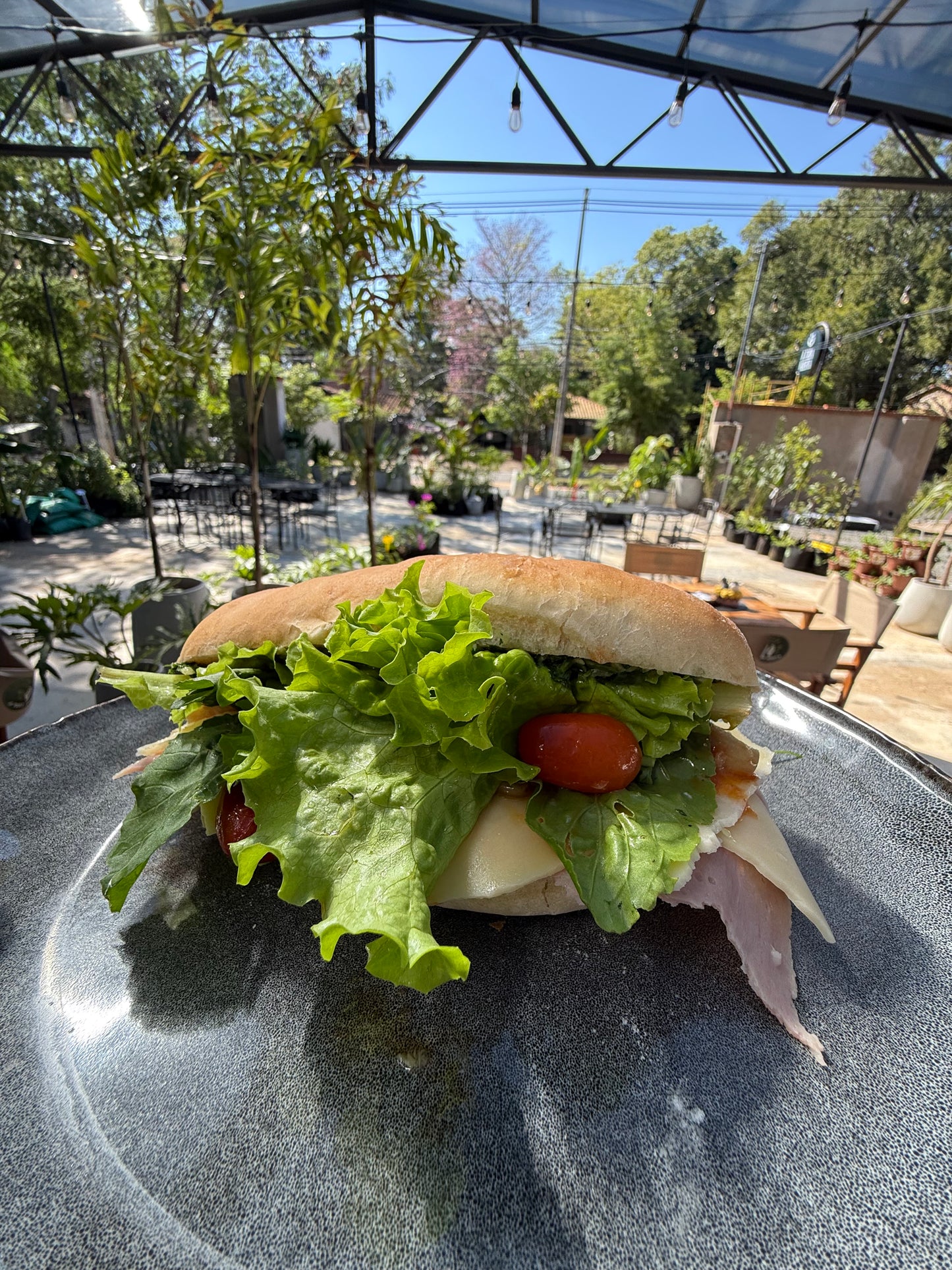 Sandwich de Verduras de la huerta