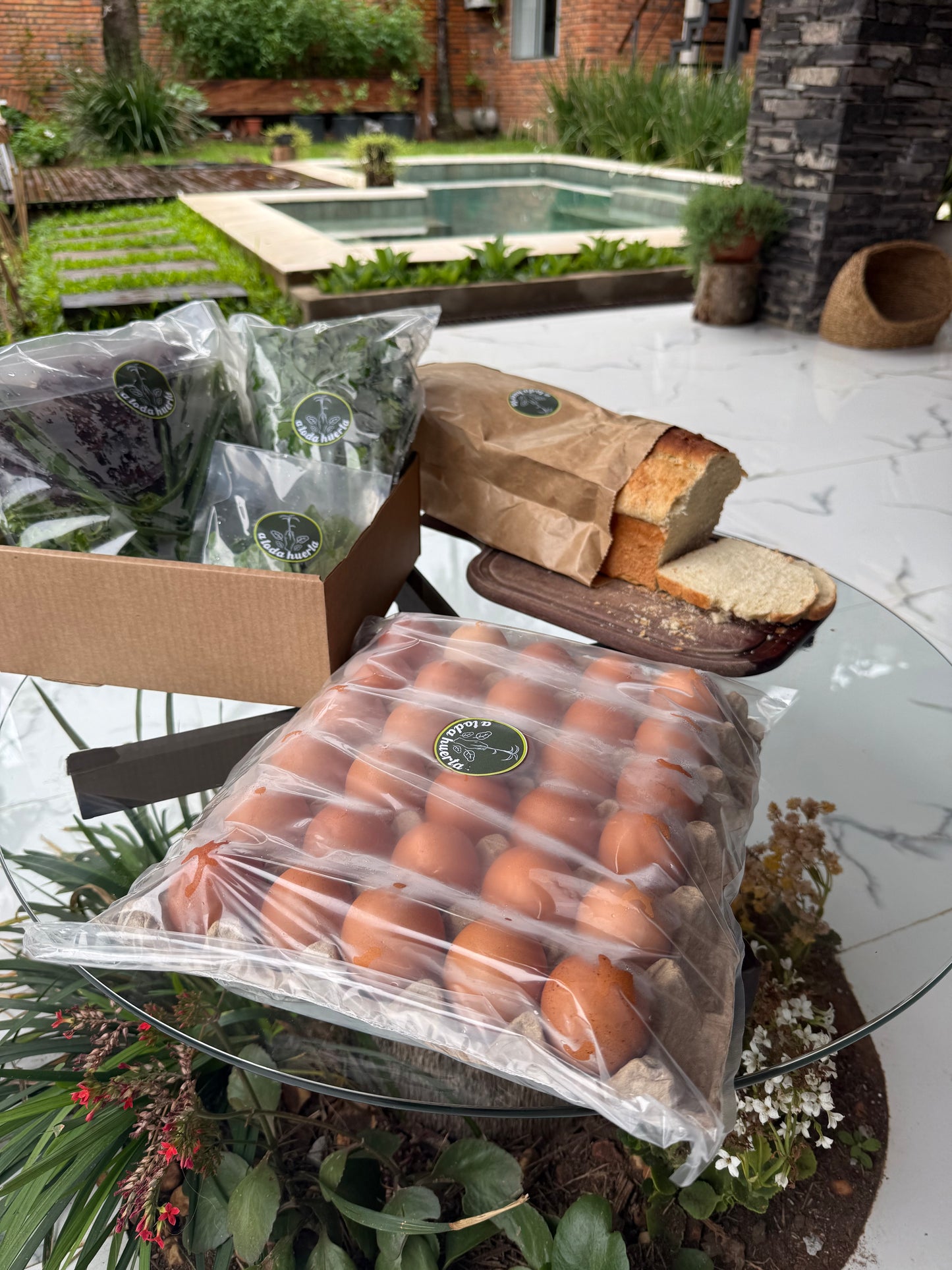 Suscripción Mensual Básica