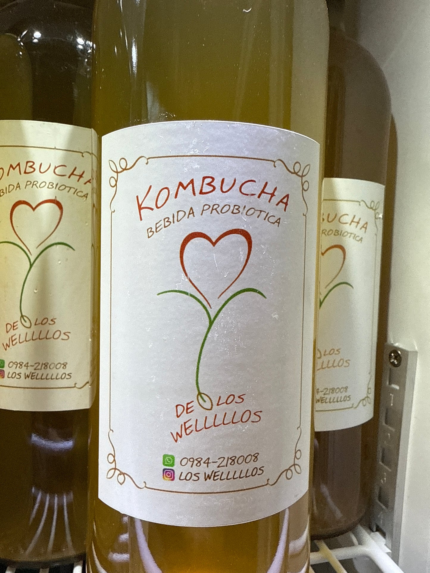 Kombucha