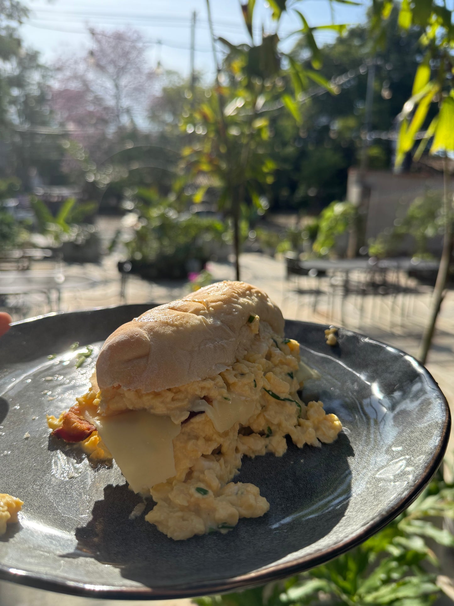 Sandwich de Huevos cremosos con panceta, queso crema, queso mozzarella y Pan casero