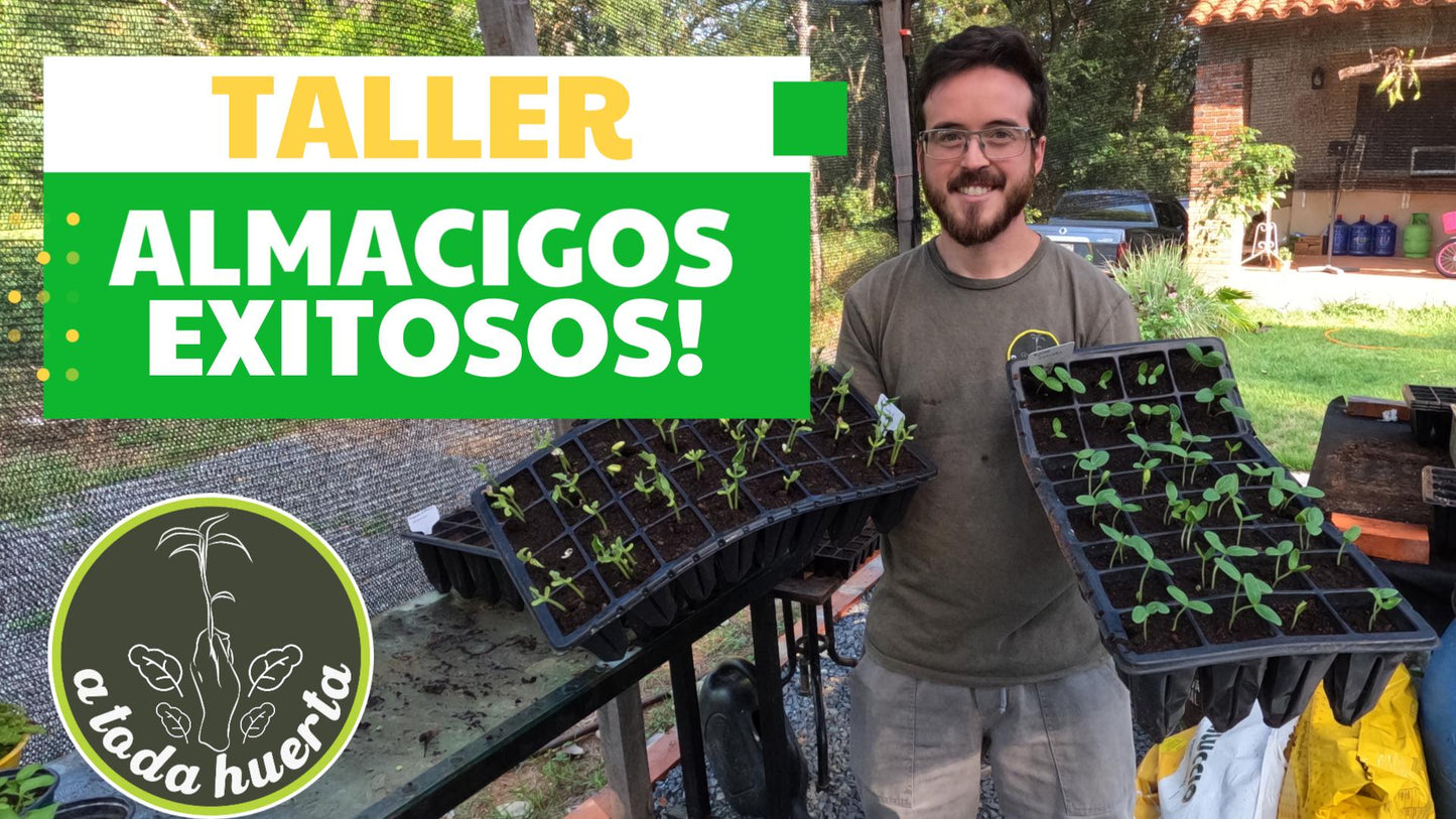 Taller Almacigos Exitosos