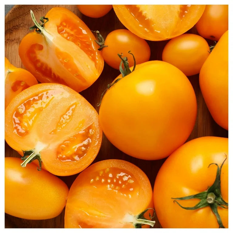 Planta de Tomate Golden Jubilee