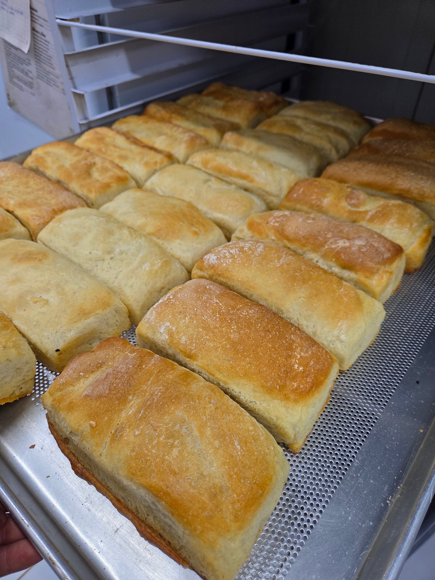 Pan ciabatta x un