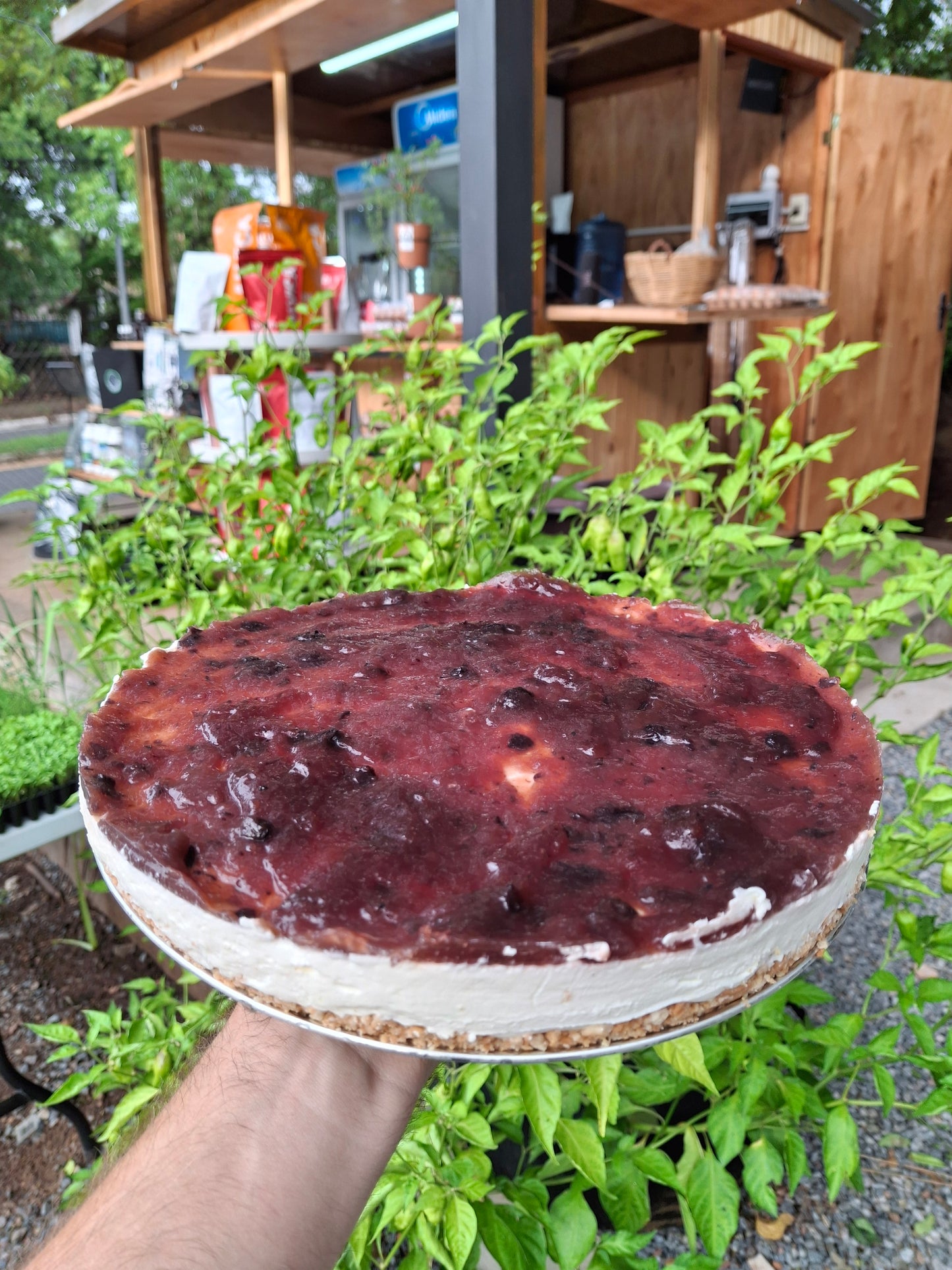 Cheesecake de frutos rojos