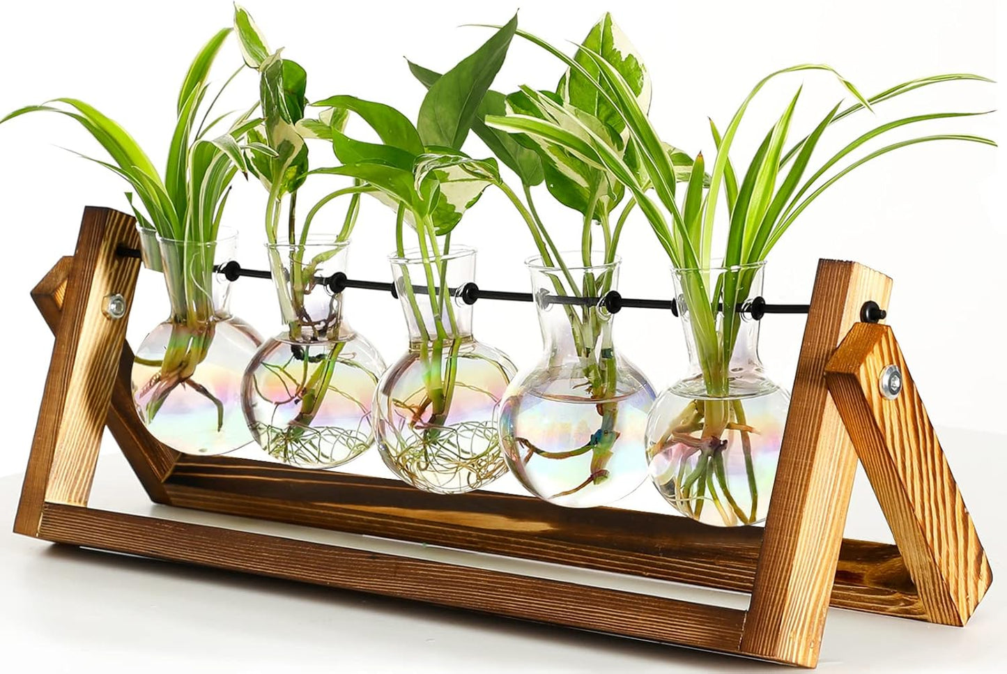 XXXFLOWER Terrario de plantas con soporte de madera, maceta de vidrio para colgar en la pared, estación de propagación de mesa, soporte giratorio de metal, estante retro para decoración hidropónica con 5 estaciones
