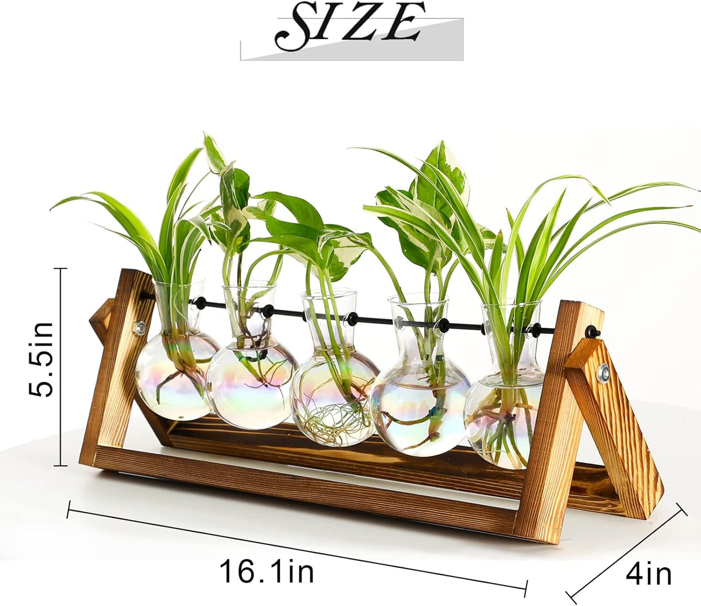 XXXFLOWER Terrario de plantas con soporte de madera, maceta de vidrio para colgar en la pared, estación de propagación de mesa, soporte giratorio de metal, estante retro para decoración hidropónica con 5 estaciones