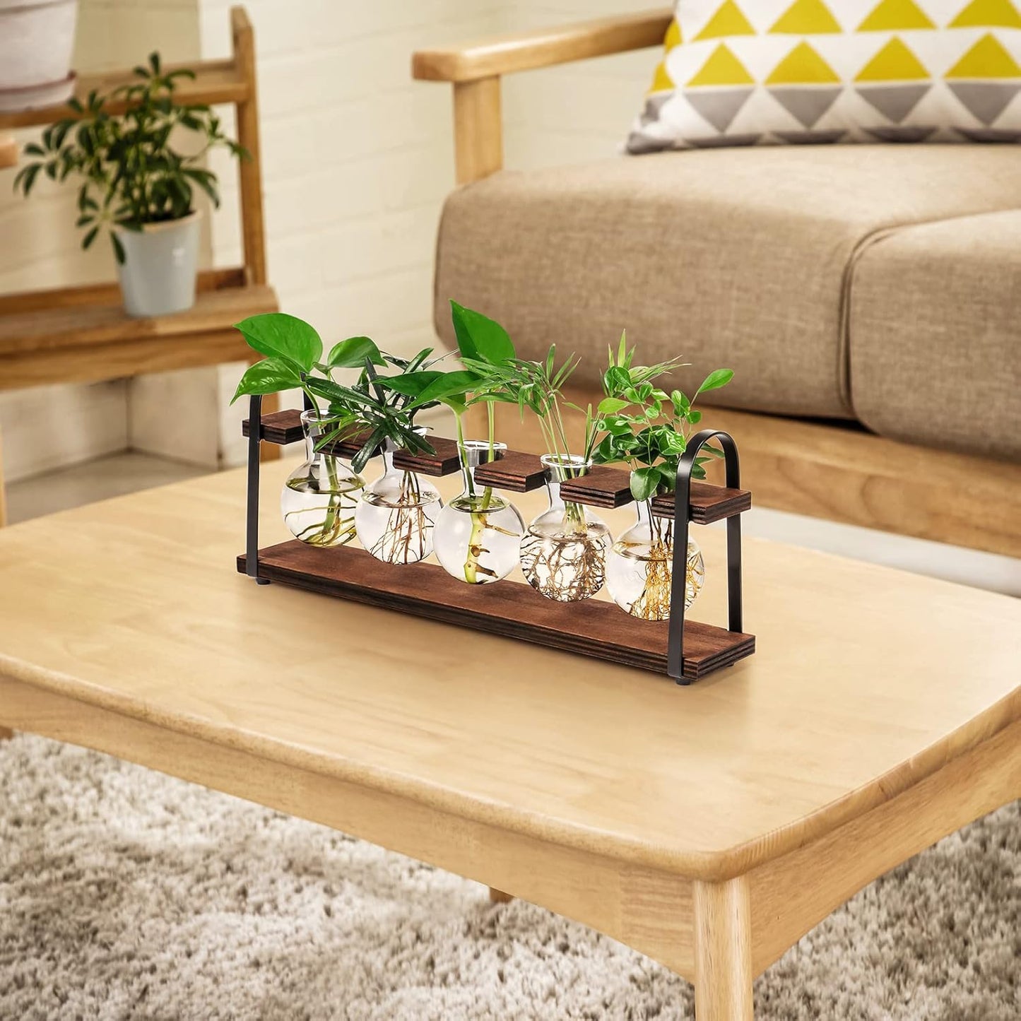 THYGIFTREE Estaciones de propagación de plantas con soporte de madera, florero retro de escritorio para plantas hidropónicas de interior, maceta de vidrio de mesa