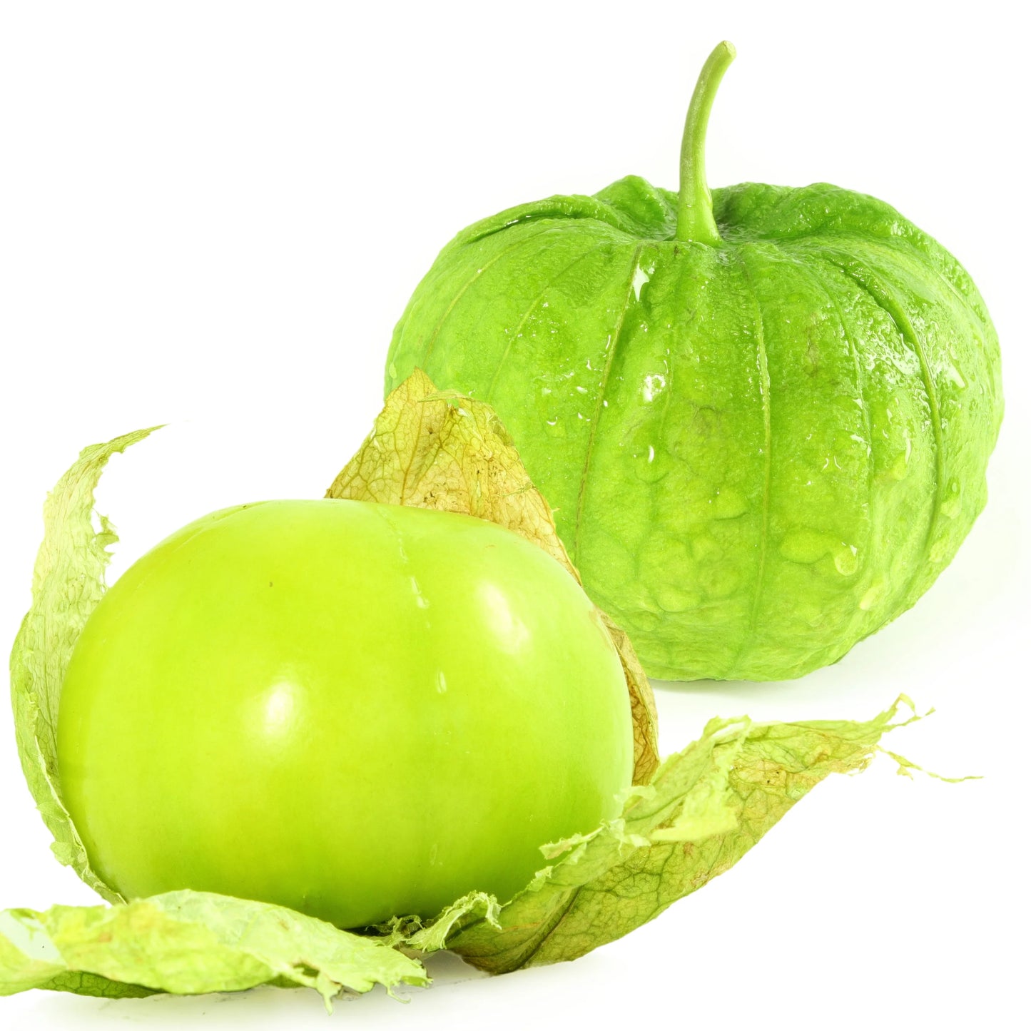 Planta de Tomate Tomatillo Grande Rio Verde