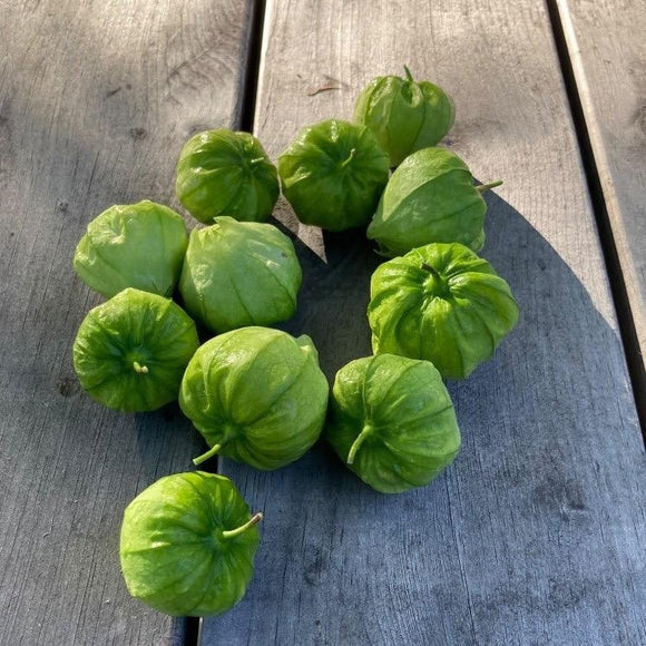 Planta de Tomate Tomatillo Toma Verde