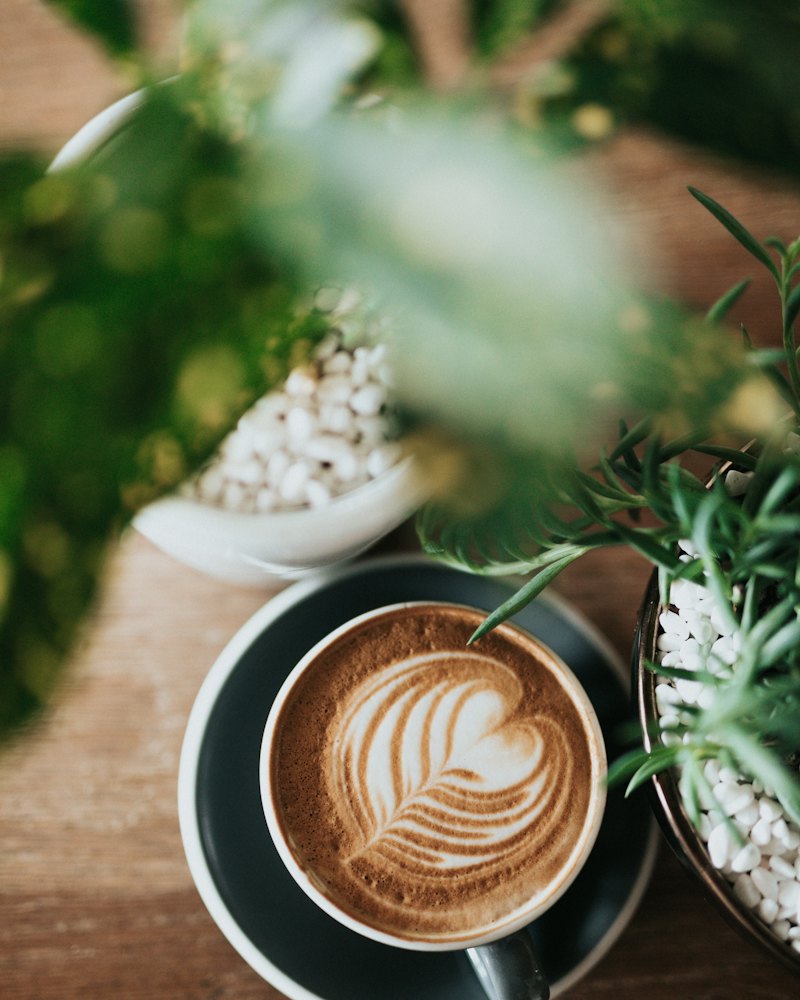 Latte entre plantas