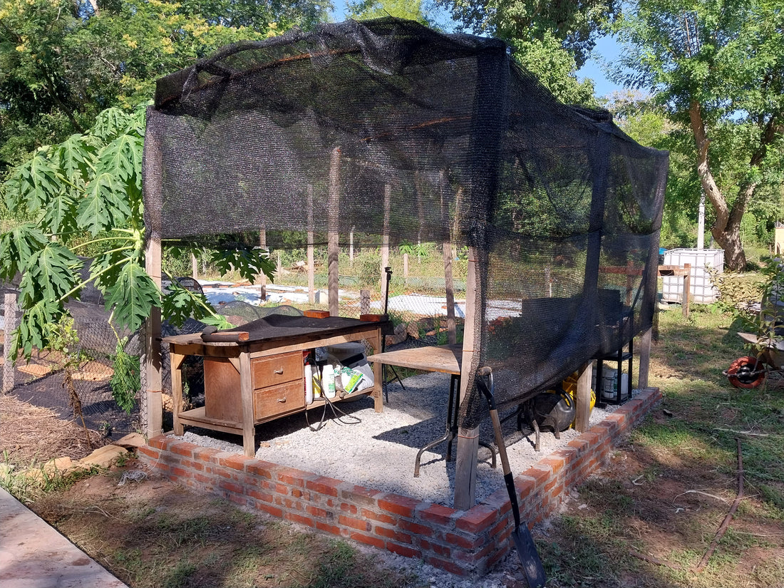 Maximiza tu Huerta en Climas Cálidos con un Invernadero Tropical Casero