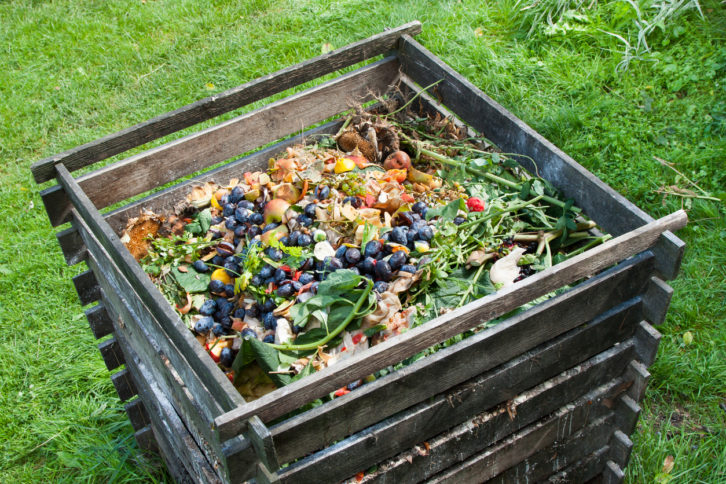 Compost en Casa: Transformando Residuos en Oro Negro para tu Jardín
