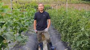 Descubriendo JADAM: Un Enfoque Revolucionario para la Agricultura Sostenible