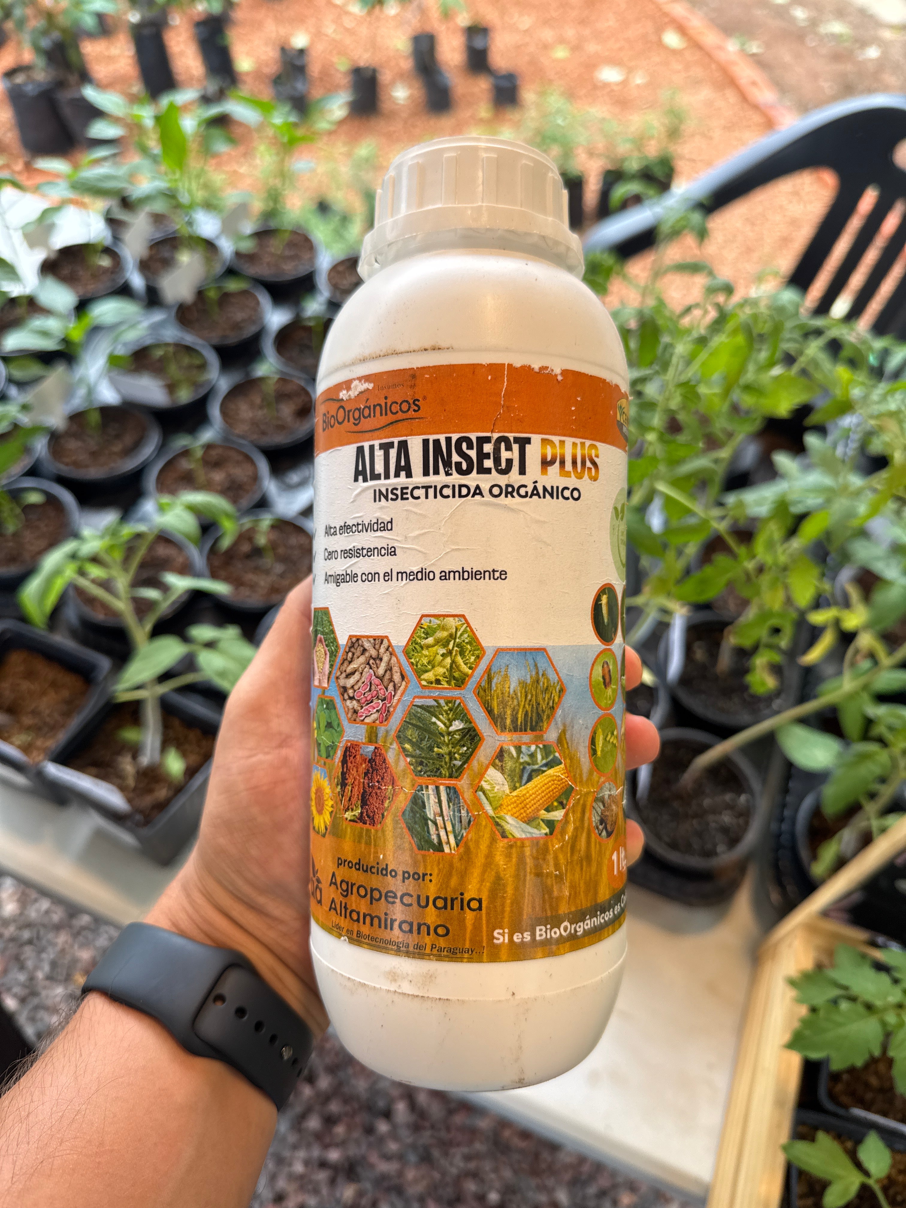Alta Insect Plus – A toda huerta