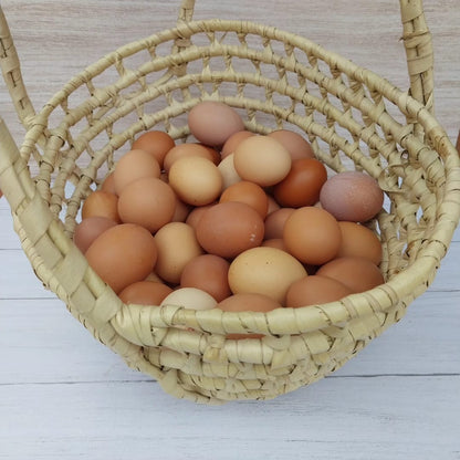 Huevos de gallinas libres