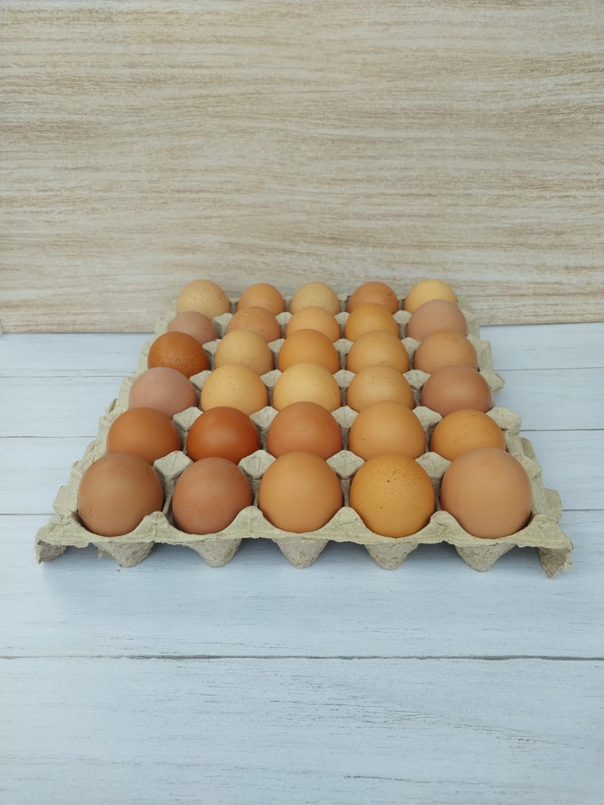 Huevos de gallinas libres