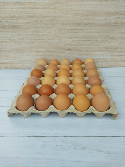 Huevos de gallinas libres
