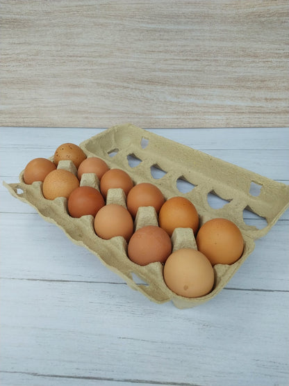 Huevos de gallinas libres