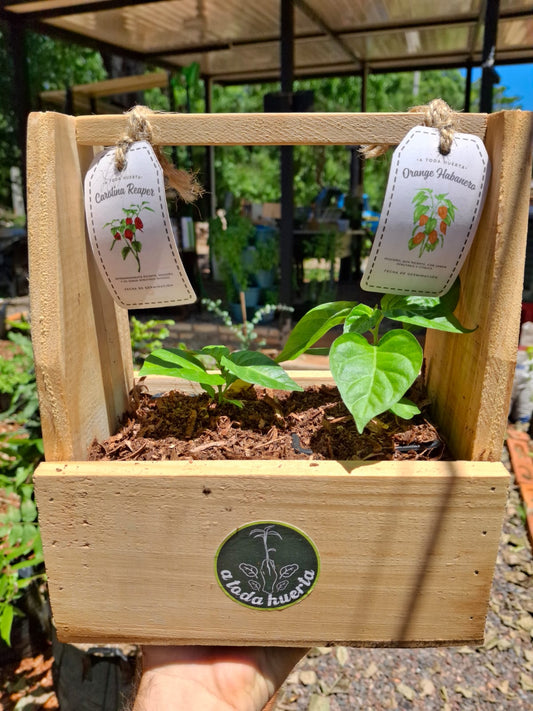 Regalo Navideño DUO PICANTE!