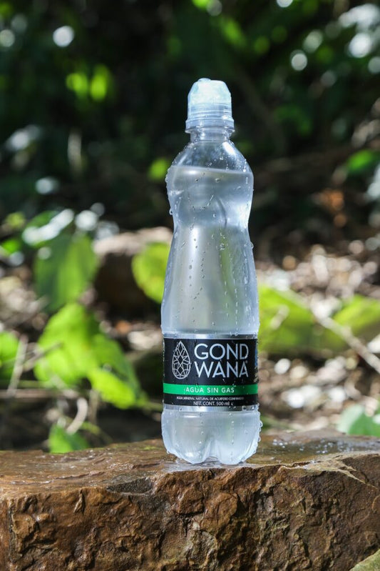 Aguan sin Gas 500 ml pico sport Gond Wana