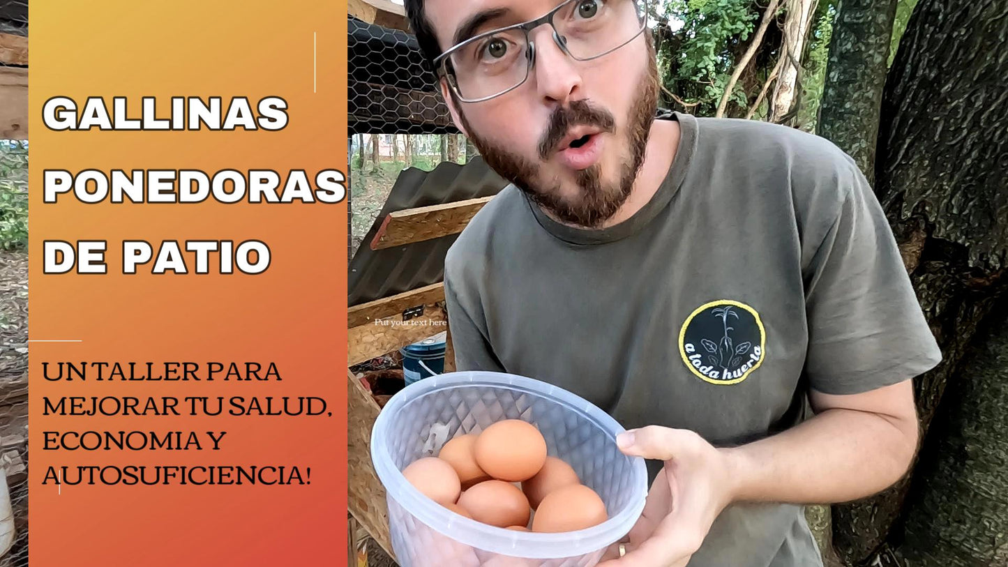 Taller Crianza de Gallinas Ponedoras en tu Patio