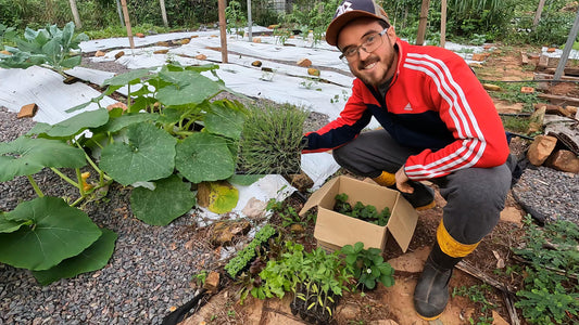 Taller presencial Huerta desde Cero 22/12/24
