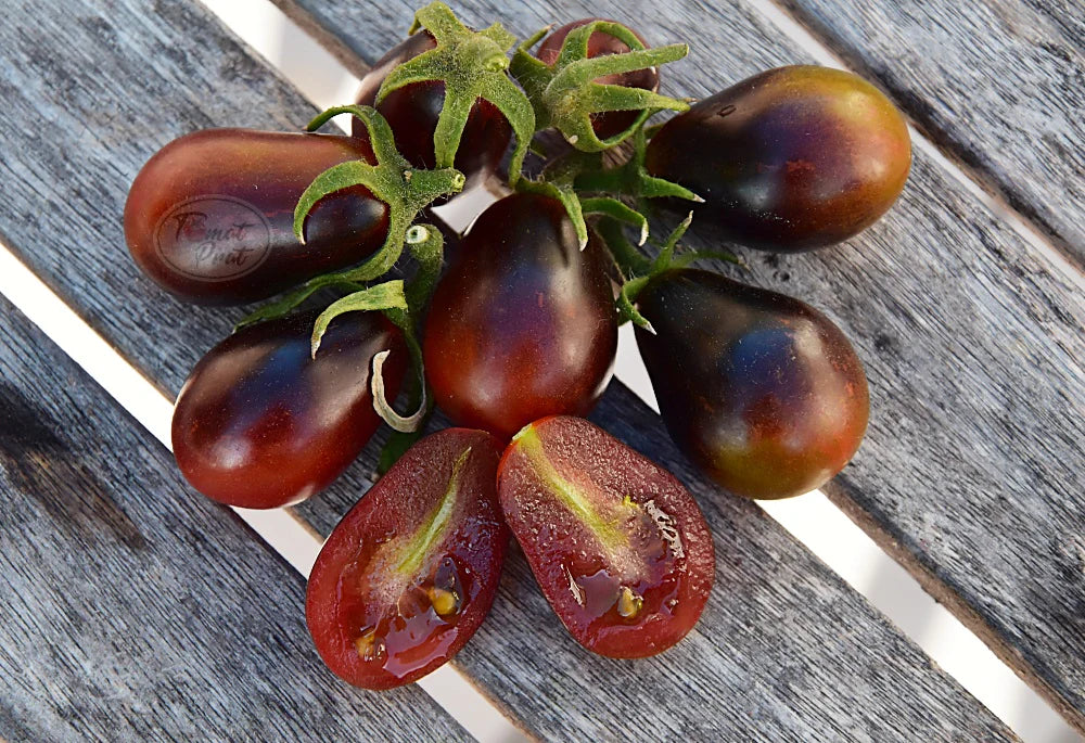Planta de Tomate Black Keyes