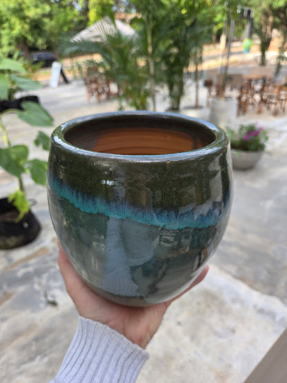 Plantera de 150