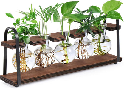 THYGIFTREE Estaciones de propagación de plantas con soporte de madera, florero retro de escritorio para plantas hidropónicas de interior, maceta de vidrio de mesa