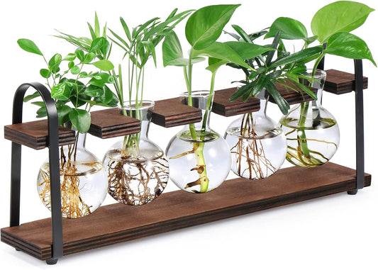 THYGIFTREE Estaciones de propagación de plantas con soporte de madera, florero retro de escritorio para plantas hidropónicas de interior, maceta de vidrio de mesa